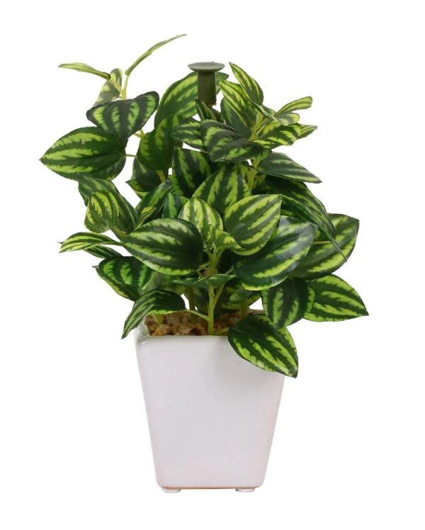 Brotes Wandering Jew Artificial Bonsai Plant with Ceramic Pot | 7 inches Discount