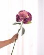 Autumne Silicone Hyd Artificial Flower | 2 feet | Vase Not Included Fashion