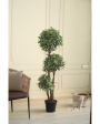 Ficus Topiary Artificial Plant With Black Plastic Pot | 5 Feet Supply