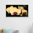 Blooming Yellow Orchid Canvas Wall Painting Online