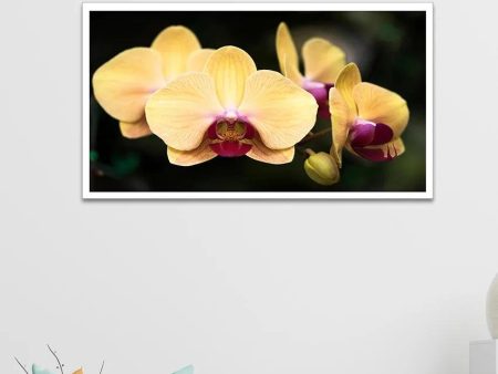 Blooming Yellow Orchid Canvas Wall Painting Online