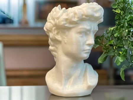 David Head PLA Planter | White | Plant Not Included For Cheap