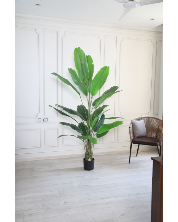 Real Touch Strlitzla Artificial Plant With Black Plastic Pot | 7 Feet Supply