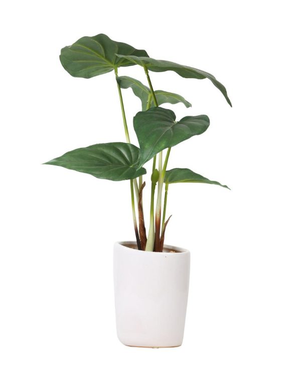 Alocasia Artificial Bonsai Plant with Ceramic Pot | 1.3 feet Cheap