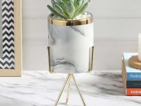 Cosmopolitan Succulents Artificial Plant with Ceramic Pot & Metal Tripod Stand | 8 inches For Sale