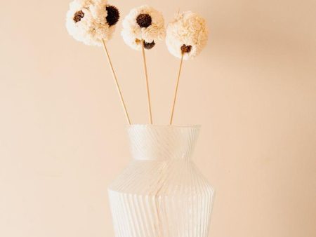 Sola Balls White | Set Of 3 | 2.3 feet| Vase Not Included on Sale