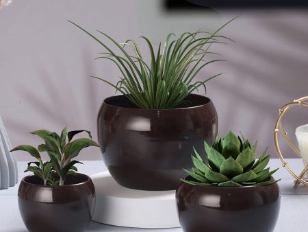 Sunshine Solid Metal Tabletop Planters | Set of 3 For Discount