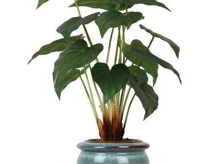 Alocasia Artificial Bonsai Plant with Ceramic Pot | Multiple Colors | 2 feet Online Sale