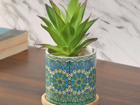 Coastal Succulents Artificial Plant with Ceramic Pot & Wooden Coaster | 7 inches Supply