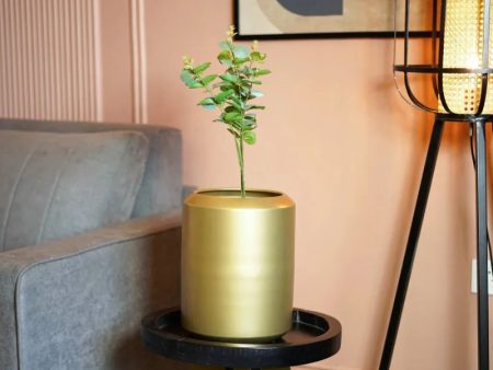 Golden Minimal Garden Metal Planter | Plant Not Included on Sale