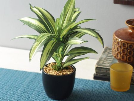 Dracaena Artificial Bonsai Plant with Ceramic Pot | 9 inches Sale