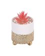 Charming Succulents Artificial Plant with Ceramic Pot & Metal stand | 6 inches Online Sale