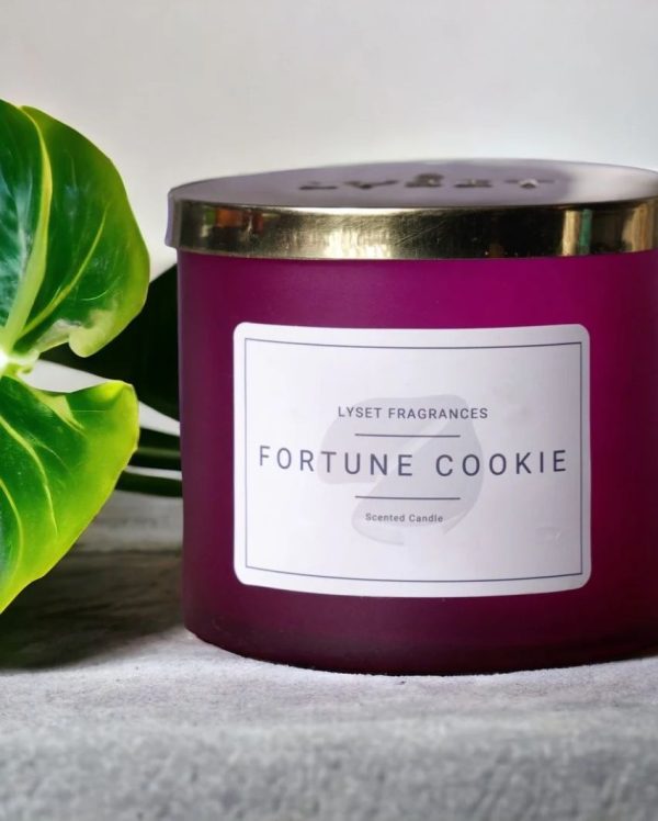 Fortune Cookie Glass Jar Scented Candle | 10.2 x 10.2 cm   4 x 4 inches Online Sale