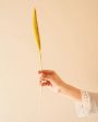 Bazra Mini Yellow Dried Flower Sticks | Set of 5 | 1.25 feet| Vase Not Included on Sale