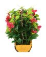 Bougainvillea Artificial Bonsai Plant with Polyurethane Pot | 11 inches Sale