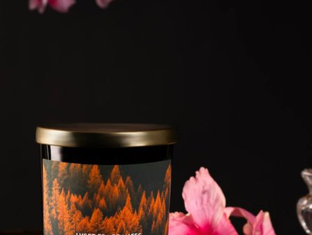 Divine Autumn Glass Jar Scented Candle | 7.6 x 10.2 cm   3 x 4 inches Online