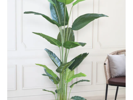 Banana Leaves Artificial Plant With Black Plastic Pot | 6 Feet on Sale