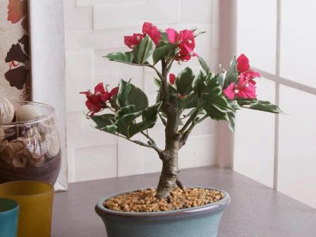 Bougainvillea Artificial Bonsai Plant with Ceramic Pot & Metal Stand | 9 inches For Cheap