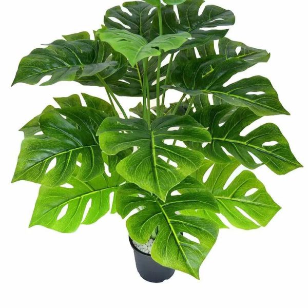 DragonWing Leaves Artificial Plant for Cozy Corner Without Pot Sale