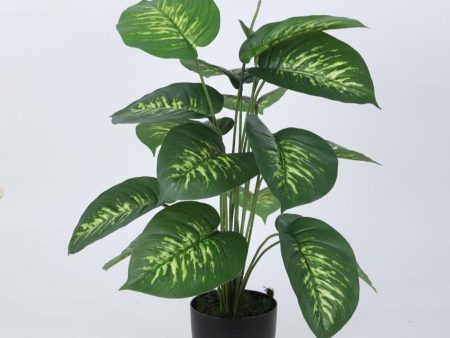 Beautiful Artificial Pvc Dieffenbachia Silk Plant With Black Pot | 26 Inches Online