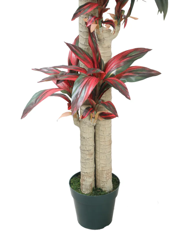 Cordylinex Artificial Plant With Black Plastic Pot | 6 Feet For Discount