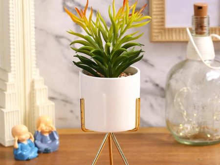 Glamour Succulents Artificial Plant with Ceramic Pot & Metal Tripod Stand | 10 inches Supply