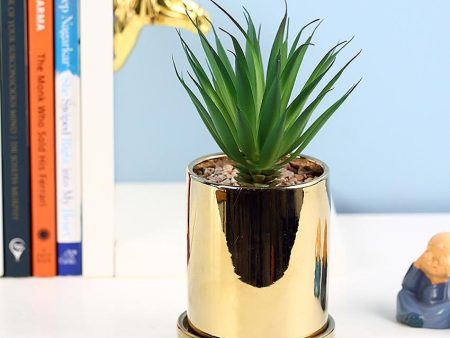 Artisanal Succulents Artificial Plant with Ceramic Pot & Coaster | 7 inches Online now