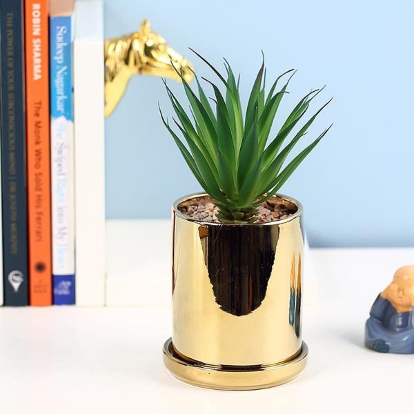 Artisanal Succulents Artificial Plant with Ceramic Pot & Coaster | 7 inches Online now