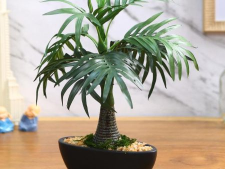 Roystonea Artificial Bonsai Plant with Ceramic Pot | 1 feet Online now