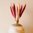 Bazra Mini Dual Shade Dried Flower Sticks | Set Of 10 |1.25 feet| Vase Not Included Online