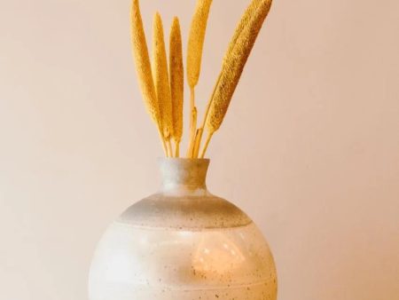 Bazra Mini Yellow Dried Flower Sticks | Set of 5 | 1.25 feet| Vase Not Included on Sale