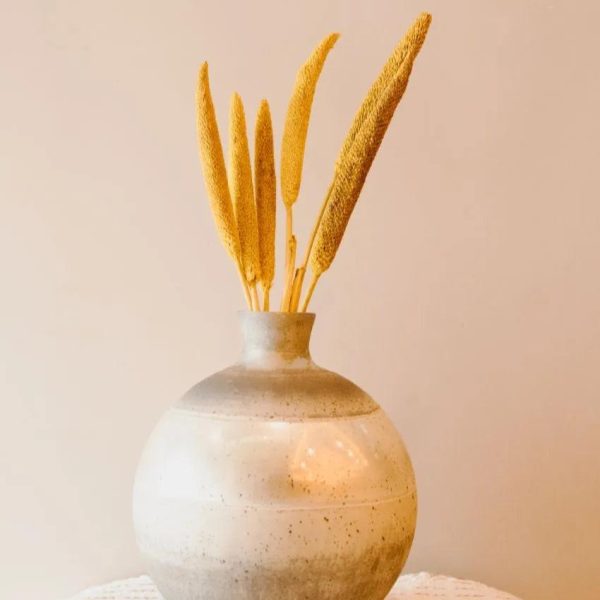 Bazra Mini Yellow Dried Flower Sticks | Set of 5 | 1.25 feet| Vase Not Included on Sale