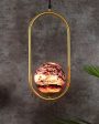 Doom Single 3D Glass Hanging In Golden Finish Ceiling Lamp Fashion