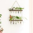 2 Tier Wall Hanging With 10 Test Tube Planters on Sale