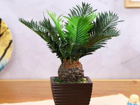 Cycas Artificial Bonsai Plant with Ceramic Pot | 1 feet Online Sale