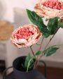 Autumne Peony Hd Artificial Flowers | Set Of 2 | 2.5 feet | Vase Not Included Sale