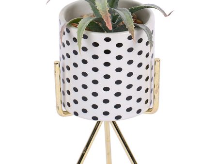 Uptown Succulents Artificial Plant with Ceramic Pot & Metal Tripod Stand | 8 inches Supply