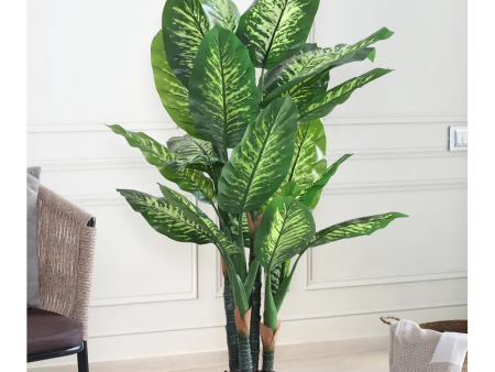 Dieffenbachia Artificial Plant With Black Plastic Pot | 5 Feet Supply