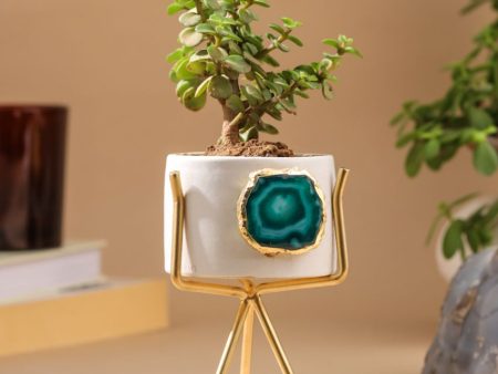 Agate Ceramic Planter With Stand | Plant Not Included For Sale