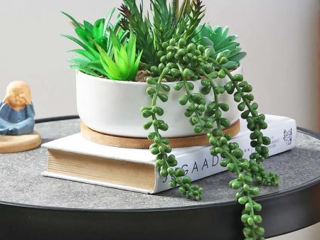 Beauty Succulents Artificial Plant with Ceramic Pot & Wooden Coaster | 6 inches Discount