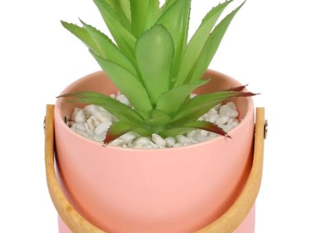 Elegance Succulents Artificial Plant with Ceramic Pot | 6 inches For Discount