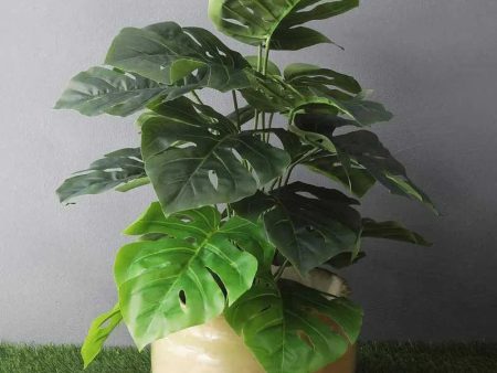 DragonWing Leaves Artificial Plant for Cozy Corner Without Pot Sale