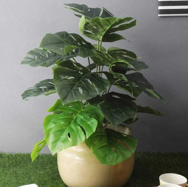 DragonWing Leaves Artificial Plant for Cozy Corner Without Pot Sale