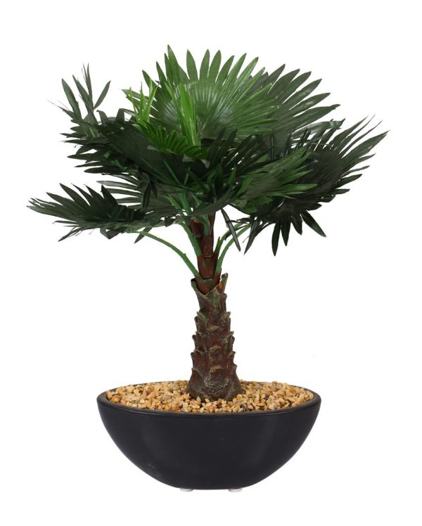 Bismarckia Artificial Bonsai Plant with Ceramic Pot | 1 feet Fashion