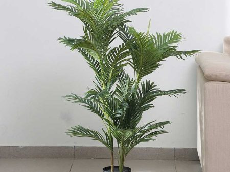 Charming Fancy Areca Palm Tree For Home Decor Fashion