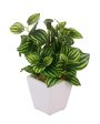 Brotes Wandering Jew Artificial Bonsai Plant with Ceramic Pot | 7 inches Discount