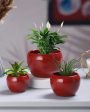 Sunshine Solid Metal Tabletop Planters | Set of 3 For Discount