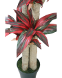 Cordylinex Artificial Plant With Black Plastic Pot | 6 Feet For Discount