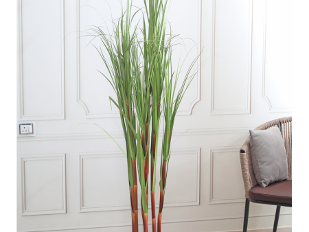 Elegant Cane Artificial Plant With Black Plastic Pot | 6 Feet Fashion