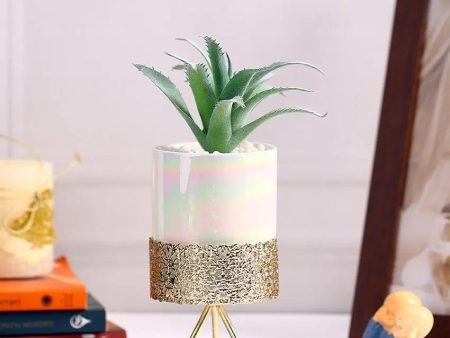 Trendy Succulents Artificial Plant with Ceramic Pot & Metal Tripod Stand | 9 inches Supply